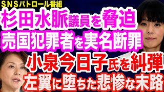 杉田水脈議員を脅迫した犯罪者を実名断罪／小泉今日子氏は左翼の成れの果て「入管法”送還ではなく保護を”」発言を糾弾／岸田首相「６月イチカバチカ解散」へ？／岸田外遊の成果は？一方、習近平が欧州３カ国訪問 [upl. by Ynove]