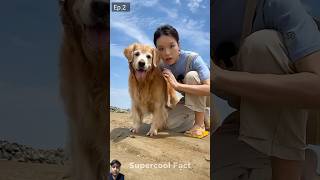 Alex Ne Machli pakad li🐠😍 dog funny pets story [upl. by Nneb529]