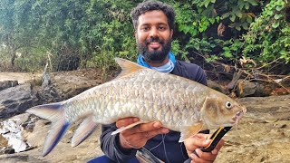 Exploring Western Ghats of India for Malabar Mahseer Tor Malabaricus My first Malabar Mahseer 🎣 [upl. by Kelwunn]