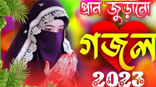 🌿 Bangla Gazal  Ghazal 2023  Islamic Gazal 2023  Notun Gojol 2023  Gazal 2023  islamic gojol [upl. by Horwitz]