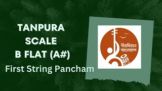 Tanpura B Flat  A  First String  Pa [upl. by Parshall]