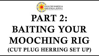 Baiting Your Mooching Rig with Herring [upl. by Nauqit420]