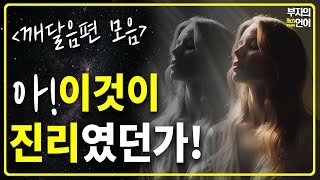 와소름 이게 진짜 진리였어 기적의 법칙을 깨닫고 현실을 마음대로 창조한다 깨달음편 모음중간광고없음 [upl. by Eidnim290]