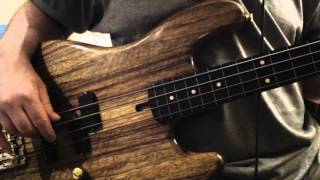 Warmoth Fretless Bass  rear pickup [upl. by Lewanna158]