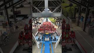 Griffons WIDE Trains dispatching at buschgardensva rollercoaster themepark amusementpark rides [upl. by Idnir153]