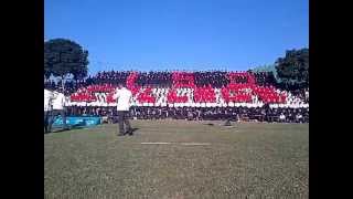 Maritzburg College Reunion Day Blazer Display  2013 [upl. by Armin]