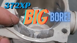 Full Port Job 372XP Big Bore [upl. by Rezeile139]