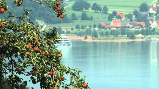 MSBrombachsee2011mov [upl. by Nyral762]