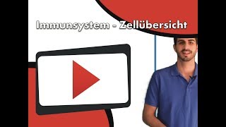 Immunsystem  Zellübersicht clipdocsde [upl. by Kokoruda]