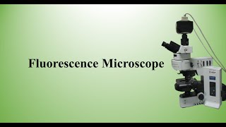 Fluorescence microscope [upl. by Korrie]