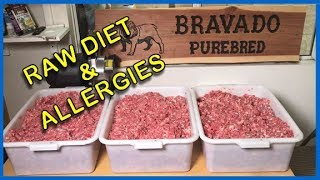 RAW DIET Step by Step How I Feed My Dogs w Allergies 2018 [upl. by Reinhard743]