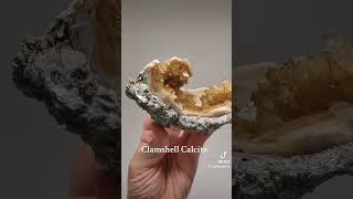 Clamshell Calcite Rucks Pit Okeechobee Fl crystals [upl. by Llenol]