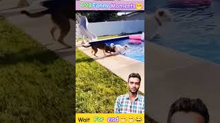 camedyFanny😁 funny funnydogs indiareels shortsviral tendingshorts viralshortcamedyshorts [upl. by Ulises]