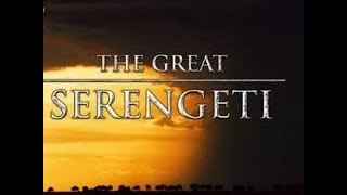 The Great Serengeti  Wild Animal Documentary  National Geographic [upl. by Kauppi899]