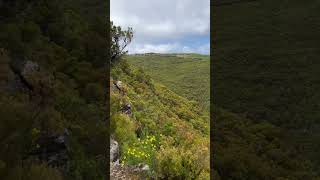 Madeira island mountain trail madeiraisland travel [upl. by Tayler]