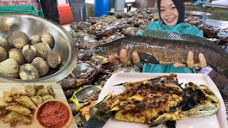 Berburu Di Pasar Klandasan‼️Nemu GABUS amp KERANG DARA Jumbo [upl. by Leina]