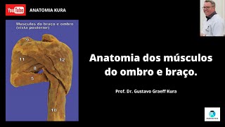 Anatomia dos músculos do ombro e braço [upl. by Allehcram]