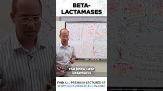 Beta Lactamases drnajeeb drnajeeblectures shortvideostatus [upl. by Fosdick423]