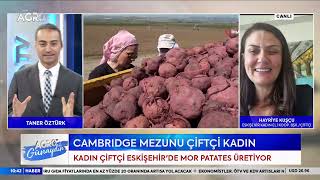 Cambridge Mezunu Kadın Çiftçi Mor Patates Üretiyor [upl. by Trojan]