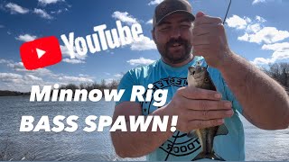 How to Fish a Minnow Jig Head [upl. by Leagiba]