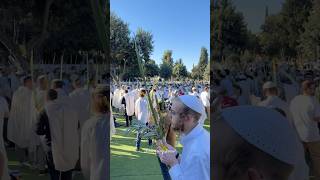 Jews celebrate Sukkot in Jerusalem Israel 2024 [upl. by Rannug]