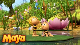 MAYA y WILLY SE VAN DE EXCURSIÓN🌞🐝🌿 MEJORES CAPÍTULOS DE MAYA para niños en ESPAÑOL 🐝 [upl. by Marleah304]