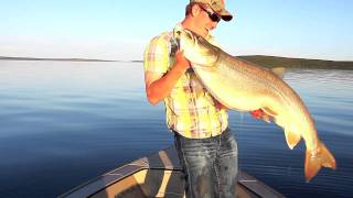 2011 Giant 35lb Lake Trout at Wollaston Lake Lodge [upl. by Nosam]