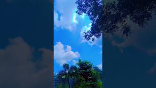 Farishte Quran padh nahi sakte angel farishte recite gift beautiful [upl. by Elhsa370]