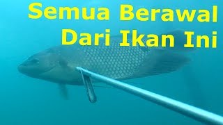 NEMBAK IKAN DI DANAU TOBA quotIKANNYA TIBA2 MUNCUL DISAMPING SAYAquot IKAN DISINI BUAT TERKEJUT EPS23 [upl. by Idnis]