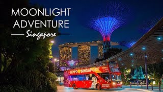 Moonlight Adventure Singapore  Top Night Tours Experience [upl. by Analihp]