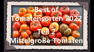 Best of Tomatensorten 2022 Teil 2  Mittelgroße Tomaten [upl. by Acsot]