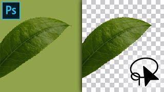 4 Ways To Remove Backgrounds In Photoshop For Beginners [upl. by Aprile]