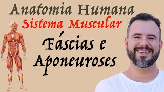 ANATOMIA HUMANA  SISTEMA MUSCULAR  FÃSCIAS E APONEUROSES  anatomy anatomia enem biologia [upl. by Gildea723]