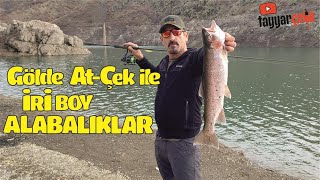 Gölde At çek İle ALABALIK AVI Efsane Boy Balıklar Aldık [upl. by Ahseyn]