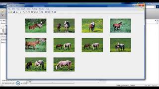 Content based image retrieval CBIR in MATLAB  Detailed report [upl. by Fritz]