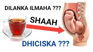 maxaa sababa dhiciska iyo dilanka ilmaha xiliga uurka [upl. by Tuinenga]