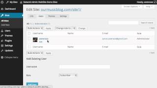 WordPress MultiSite Editing Existing Network Sites [upl. by Karin]