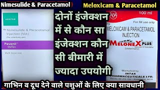 Vetinjection Nimesulide and Paracetamol VS Meloxicam and ParacetamolDonu injection ko kab kase [upl. by Lam]