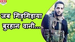 Some shocking details of the Burhan Wanis encounter ARMY के सामने रोया था BURHAN VANI [upl. by Ahsinel]