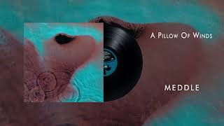 Pink Floyd  A Pillow Of Winds Official Audio [upl. by Winchester807]