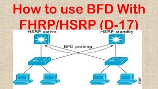 How to use BFD With FHRP D16 [upl. by Pascha]