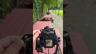 Comparing 28mm vs 200mm full frame lenscamera a7Siii Tamron 28200mm cameralens photographytips [upl. by Itnaihc]