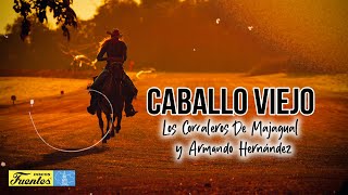 CABALLO VIEJO  Los Corraleros de Majagual y Armando Hernández VIDEO LETRA [upl. by Alber]