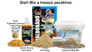 Nyári fogós receptek felmelegedett vizekre 10 rész  Start Mix a hosszú pecákhoz [upl. by Hedve863]