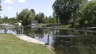 Lake Weed Cutter  Easy Water Weeds Control for Pond or Cottage Lake [upl. by Corney]