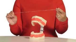 How to Floss Your Teeth [upl. by Wimsatt]