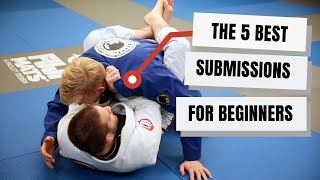 Best Submissions for Beginner Jiu Jitsu Students [upl. by Madalena]