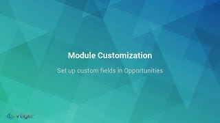 Set up custom fields in opportunities in Vtiger CRM [upl. by Ytrebil810]