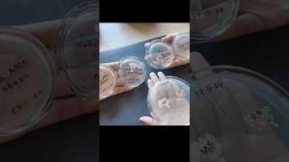 Bacterial Culture Microbiology  Biotechnology [upl. by Ecinej328]