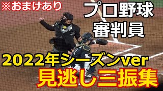 【2022年シーズンver】NPB審判員による見逃し三振集【すべて現地撮影 31分強】 [upl. by Atisusej]